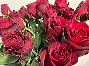 Sarkanas Rozes 80cm