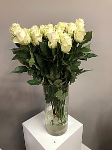 Krēmkrāsas rozes 70cm