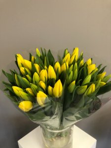 dzeltenas tulpes