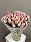 violetas tulpes